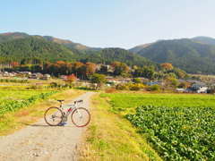 大原