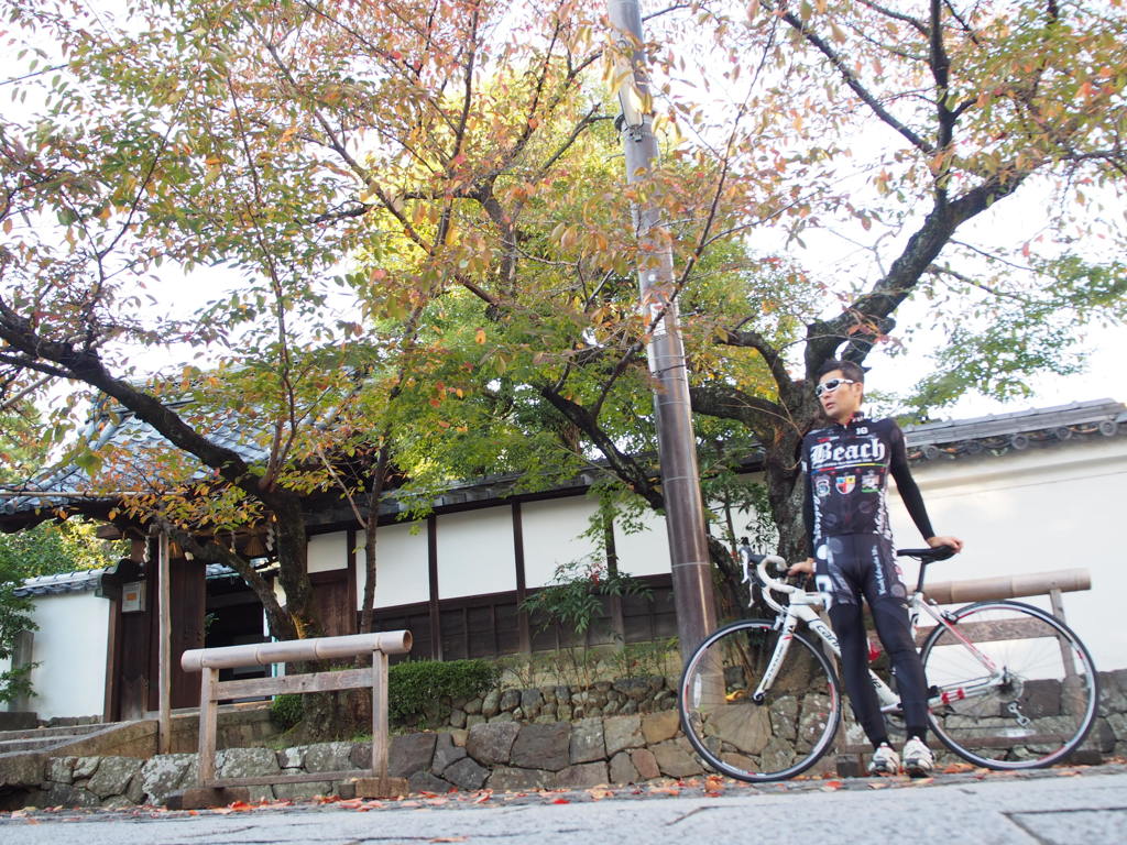 向日神社