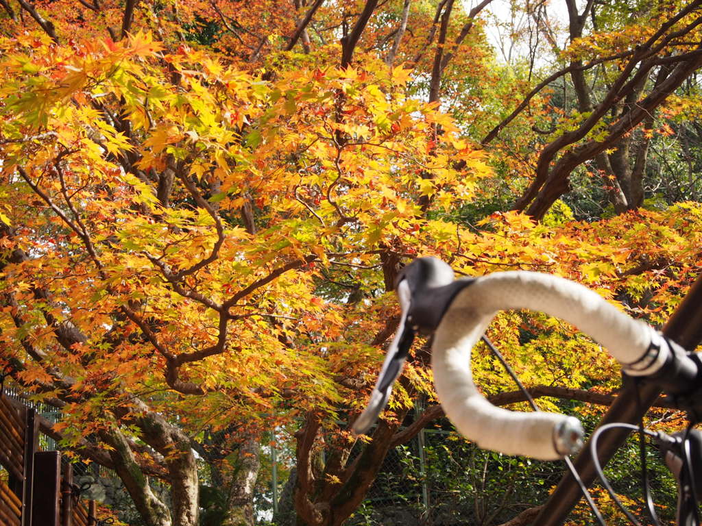 北野神社