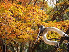 北野神社