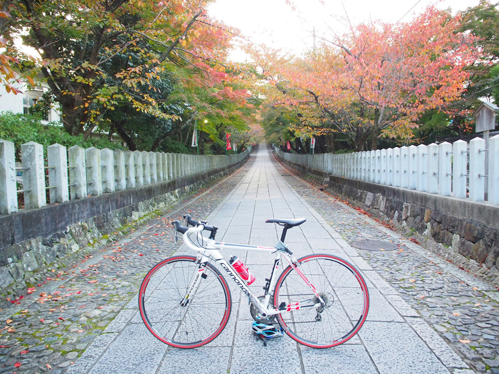 向日神社