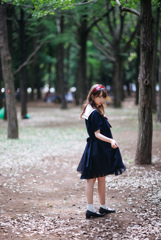 into the woods