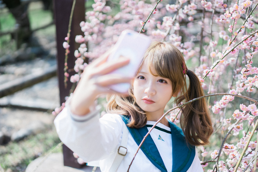 桜～