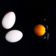 Egg