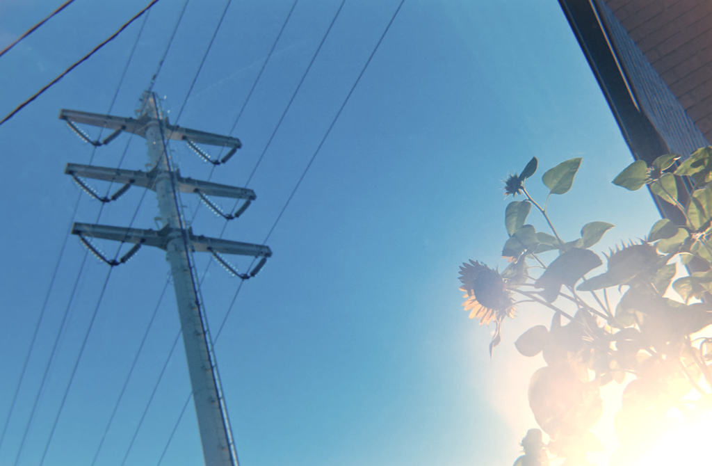 太陽エネルギー充電中！