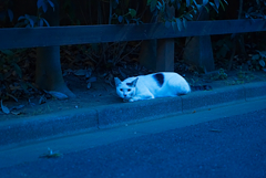 ど、どっちに逃げる！？