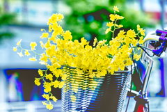 カゴの花