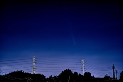 紫金山・アトラス彗星（at東京）