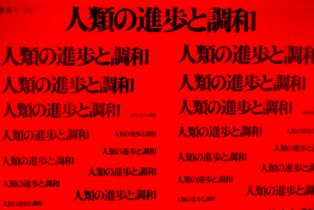 人類 の 進歩 と 調和