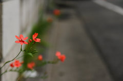空へ