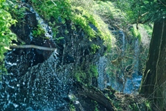 溢れ出す湧水