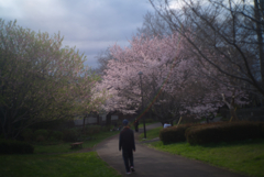 桜の園へ