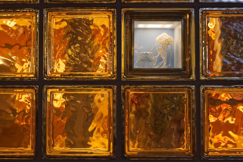 エルメスくらげ