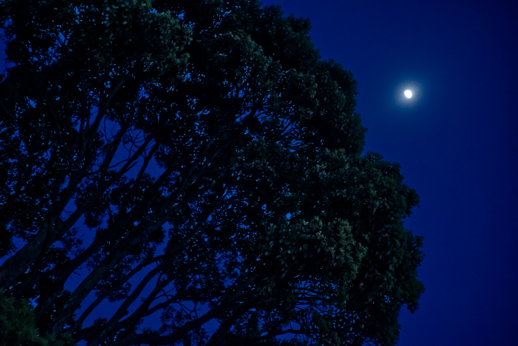 月夜