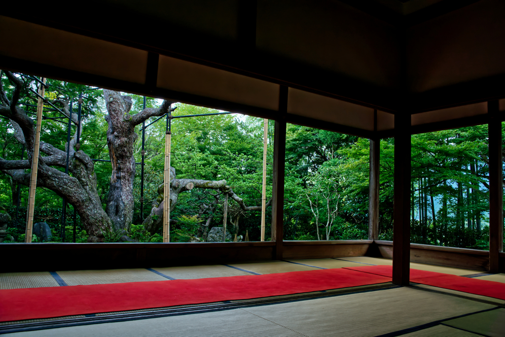 宝泉院額縁庭園３