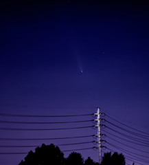 紫金山・アトラス彗星