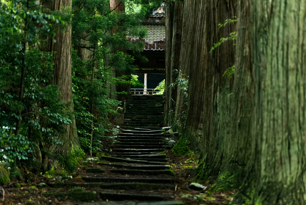 清水寺（きよみずでらじゃなくてせいすいじ）