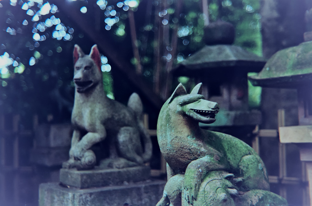 嗤う稲荷