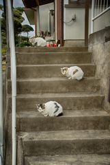 はいポーズ！