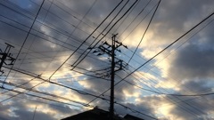 雲の巣