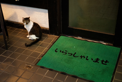 まねく猫