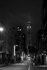 塔のある風景（お盆の空樹）