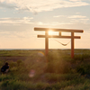 鳥居と夕日（FILM）