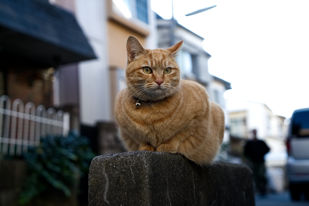 ん？誰か来た！？