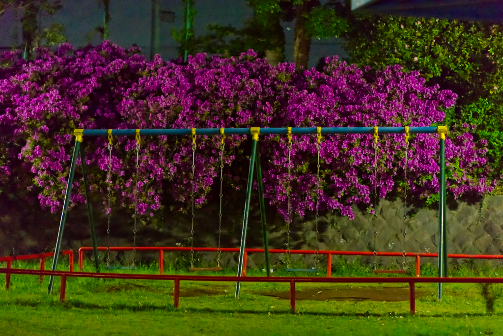 よるブランコ