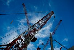 THE CRANES