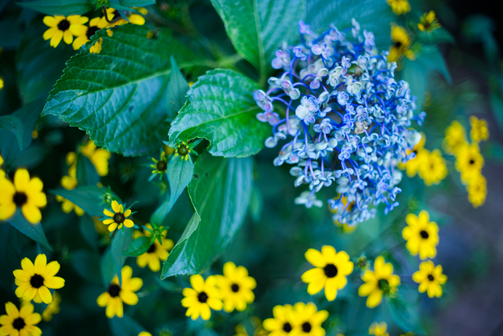 子どもたちに囲まれて