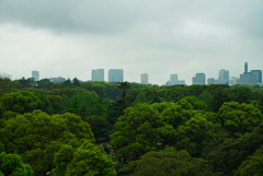 東京GREEN
