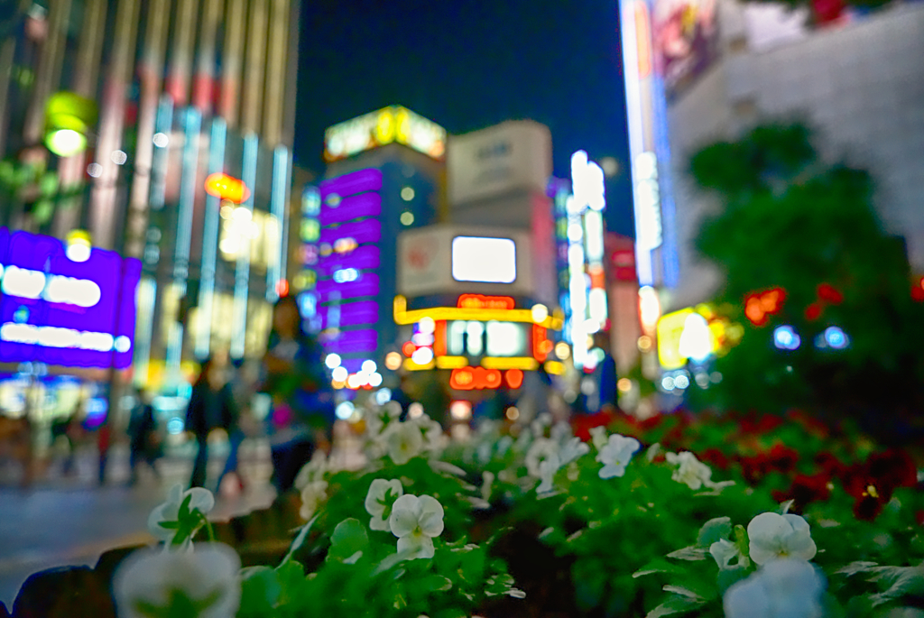 新宿FLOWERS