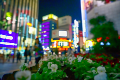 新宿FLOWERS