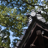 屋根瓦