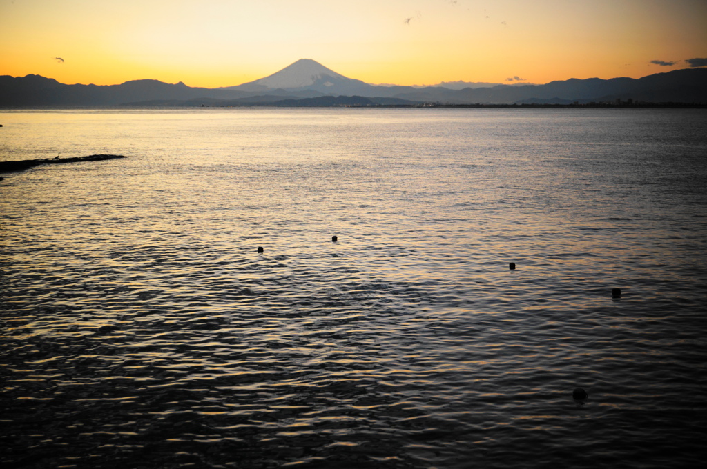 Mt.Fuji
