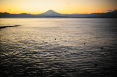 Mt.Fuji
