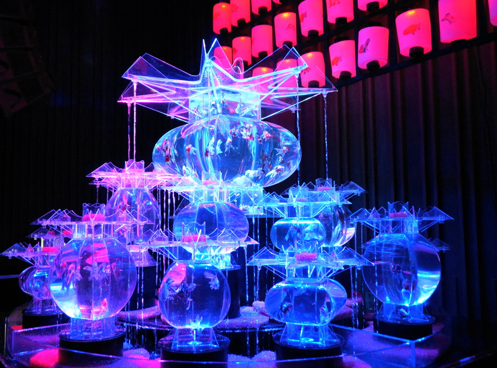 アートアクアリウム2014②