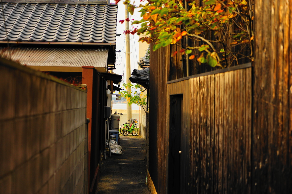 路地裏