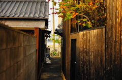 路地裏