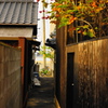 路地裏
