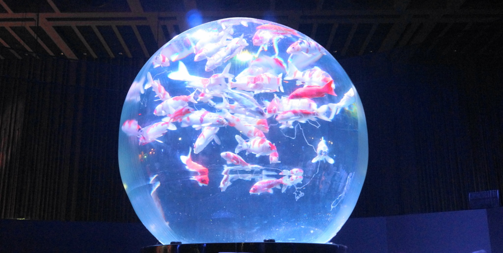 アートアクアリウム2014③