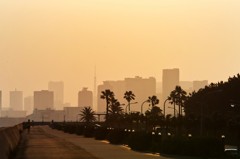 新浦安から