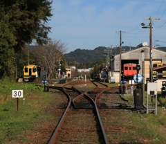 20151129101524_IMG_0964-1