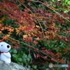 紅葉狩り