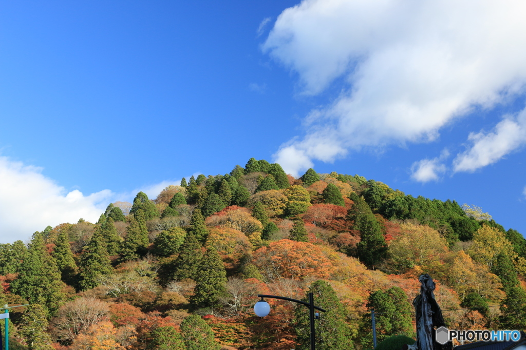 山のいただき