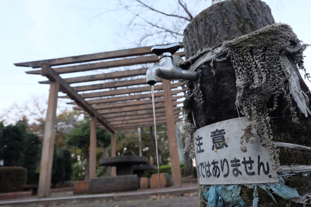 閉まりきらない古い蛇口