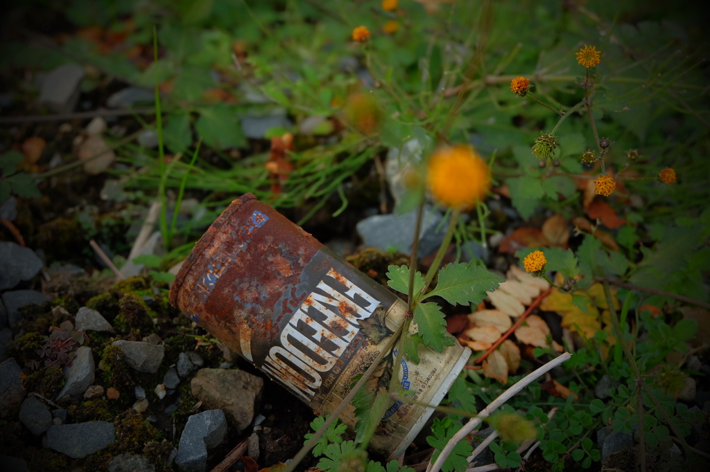 ポイ捨てされた空き缶