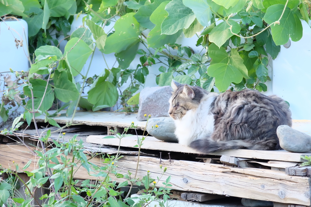 見つめるその先は