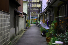 雨上がりの京都